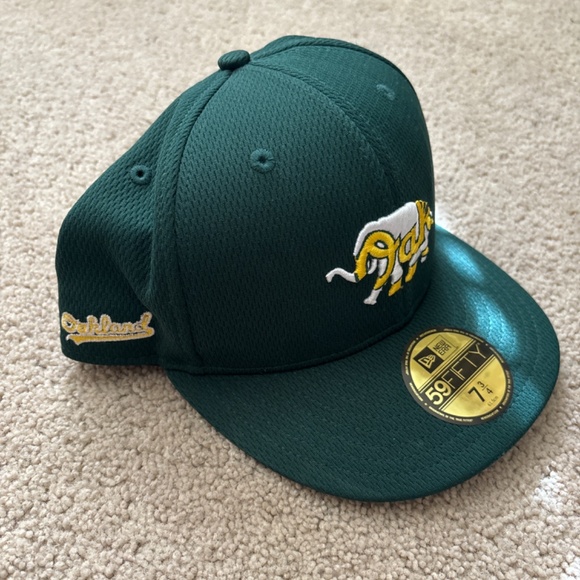 Fitted Hats - Picture 3 of 7